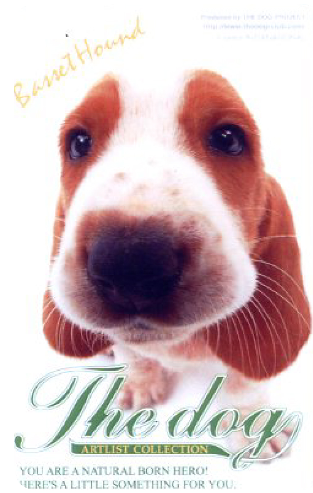 大頭狗悠遊卡-巴色特獵犬(普)